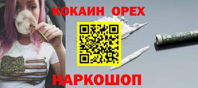 стафф Кингисепп