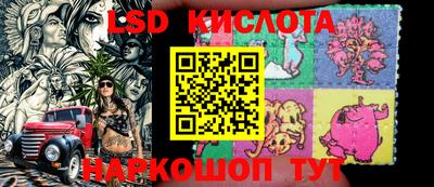 стафф Кингисепп