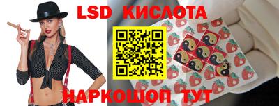 стафф Кингисепп