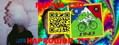 стафф Кингисепп