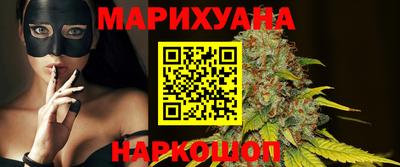 стафф Кингисепп