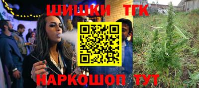 стафф Кингисепп