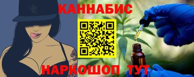 стафф Кингисепп