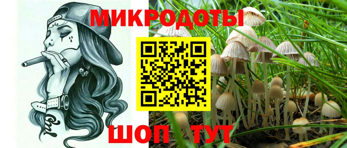 наркотики  Галлюциногенные грибы Psilocybe  Вход с VPN  Галлюциногенные грибы Cubensis  Крымск 