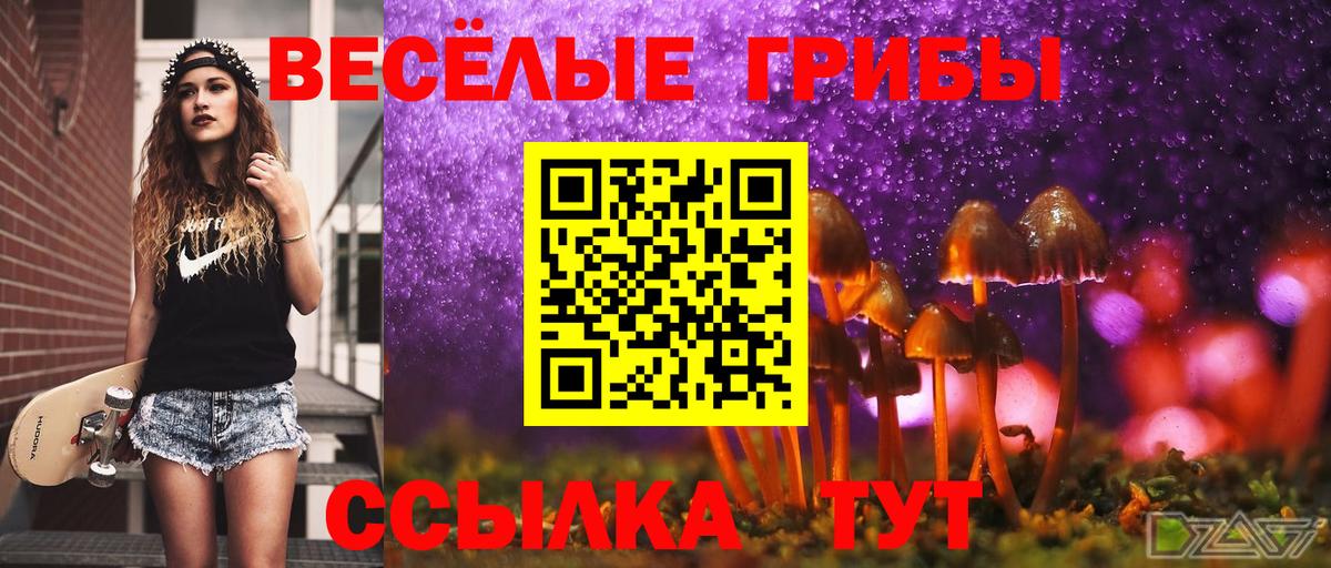 Галлюциногенные грибы GOLDEN TEACHER Крымск